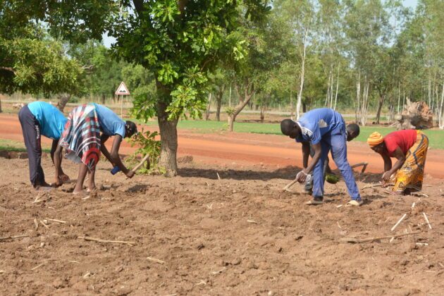 Foncier au Burkina Faso : une nouvelle réforme pour sécuriser la gestion des terres